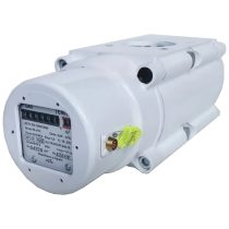 Газовый счетчик роторный ТЕМП G250 DN100 1:100