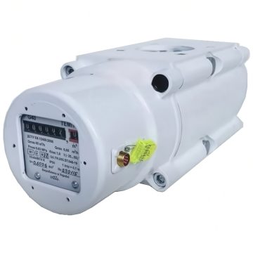 Газовый счетчик роторный ТЕМП G65 DN100 1:100